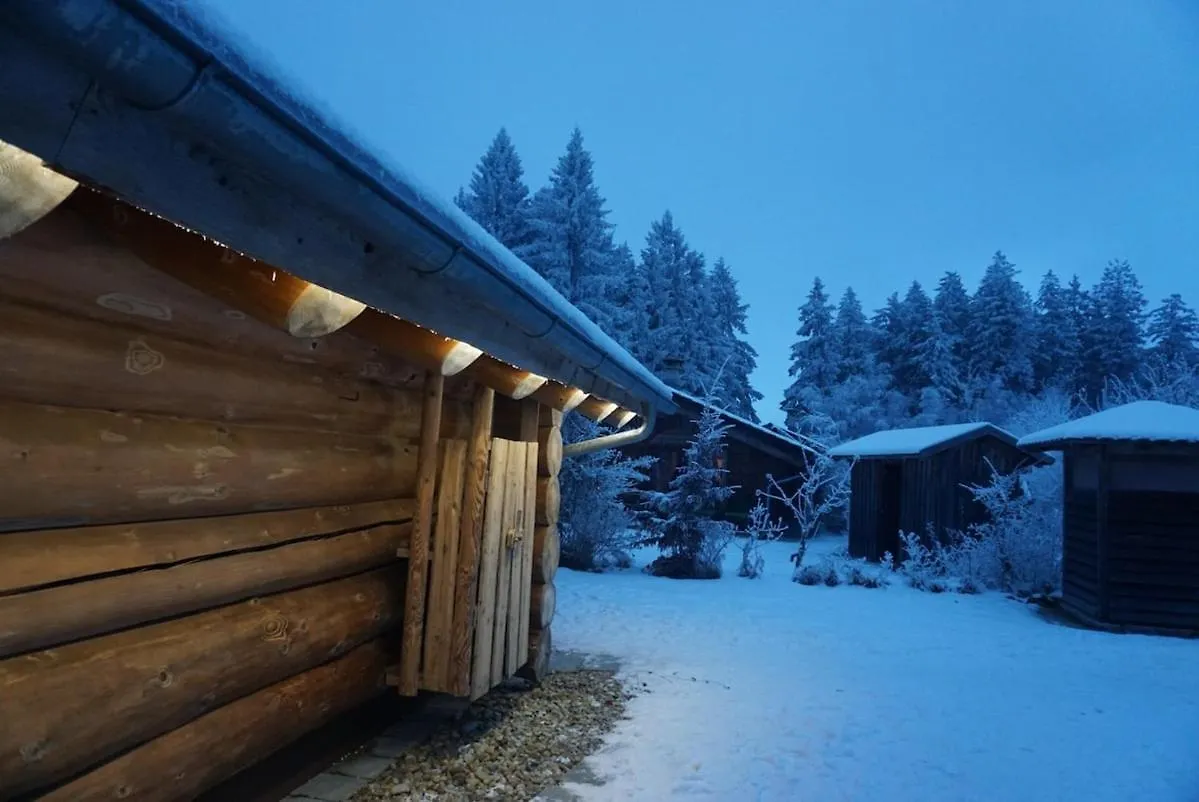 Chalet Vogelkirsche Sankt Englmar